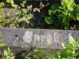 image of grave number 786918